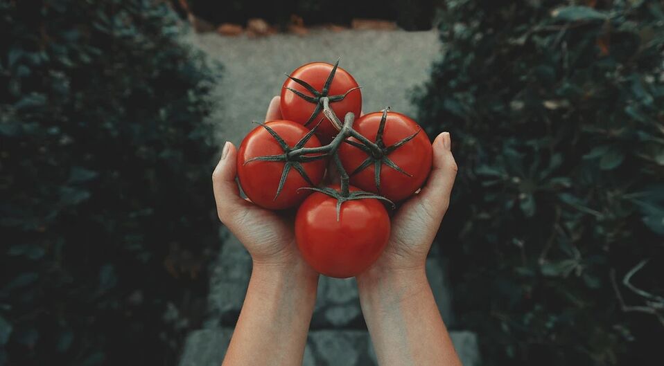 Os tomates reducen o risco de cancro de próstata